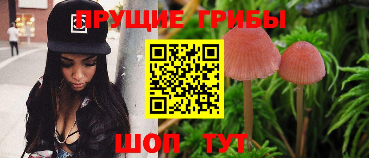 Псилоцибиновые грибы Magic Shrooms  Вход с VPN  где найти наркотики  Амурск  Галлюциногенные грибы мицелий 